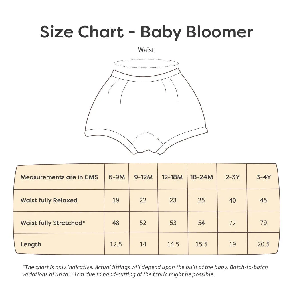 BASIC Super Soft Bloomer - Pack of 5