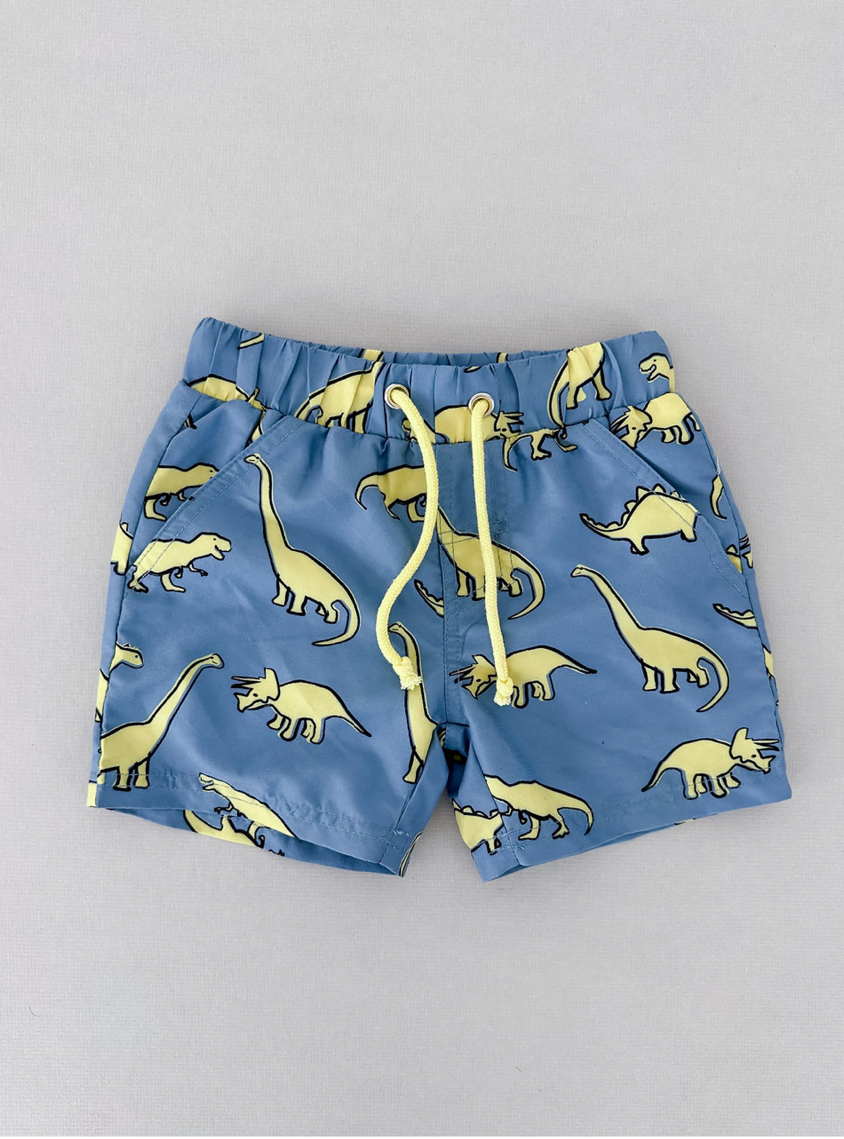 Dinosaur Themed Shorts