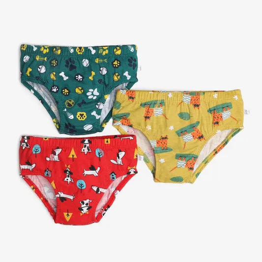 Young Boy Briefs 6 Pack Paws Only Finding Dino 2.0 - Buy Now!