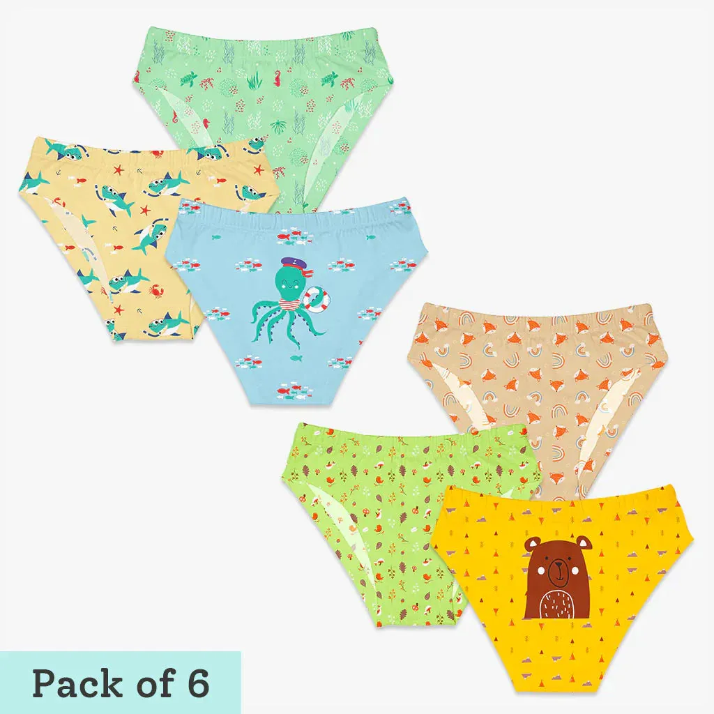 Young Boy Briefs - 6 Pack (Woody Goody - Sea-saw) - Affordable Kids Underwear