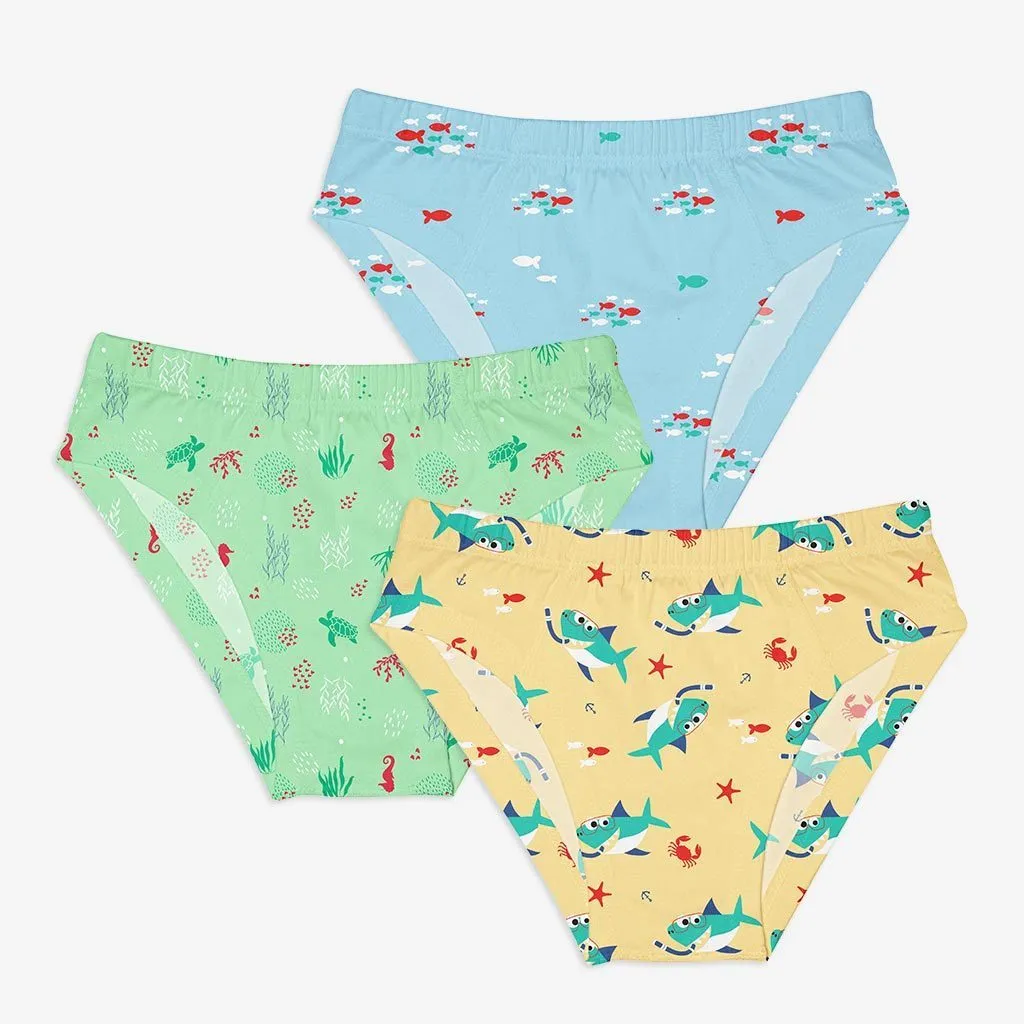 Young Boy Briefs - 6 Pack (Woody Goody - Sea-saw) - Affordable Kids Underwear