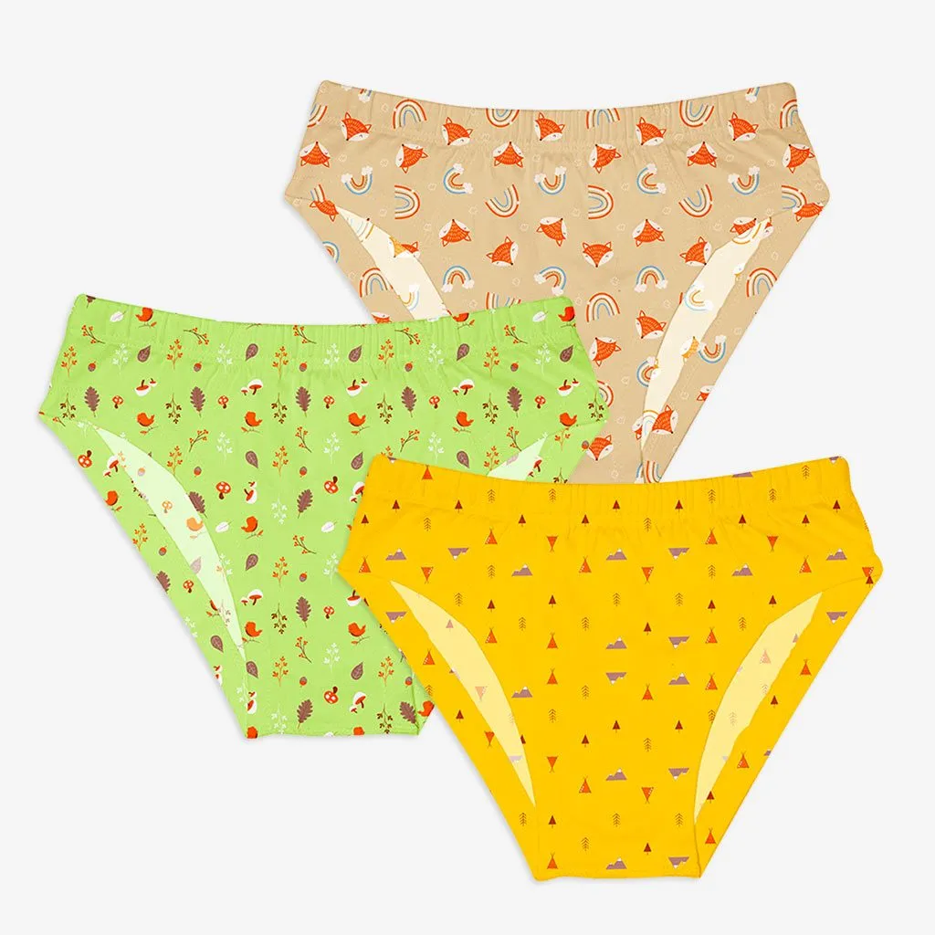 Young Boy Briefs - 6 Pack (Woody Goody - Sea-saw) - Affordable Kids Underwear