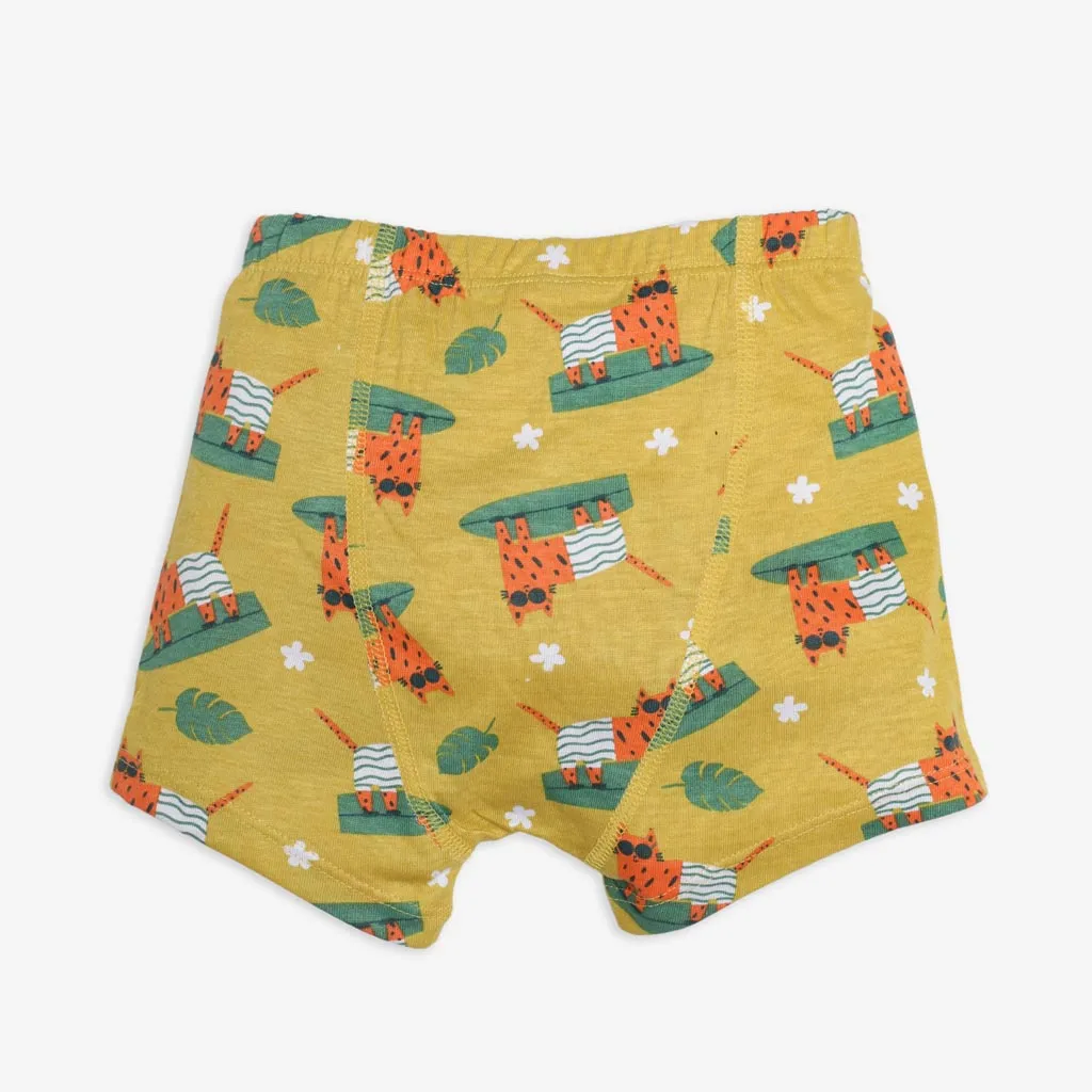 Young Boy Trunks - Set of 3 (Paws Design)