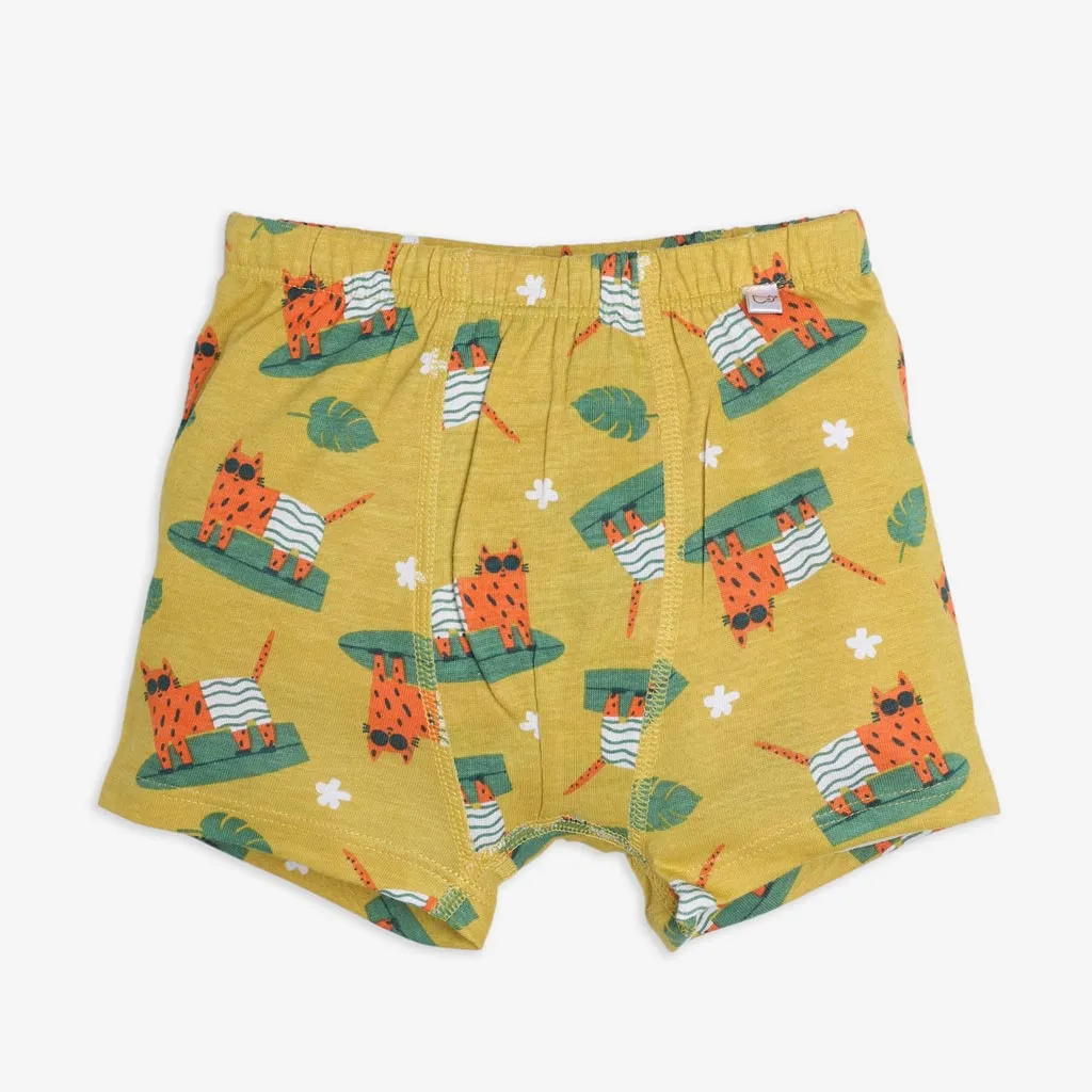 Young Boy Trunks - Set of 3 (Paws Design)